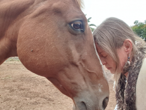 Sanación energética y relajación con caballos